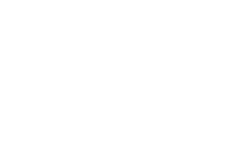 Rvlz_logo_transparant_white